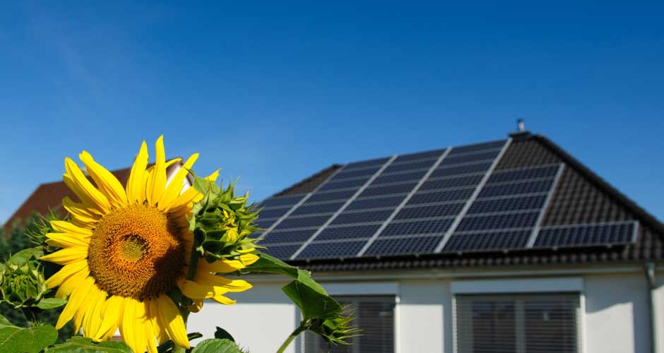 Harness the Sun: Top Solar Appliances for an Eco-Friendly Home