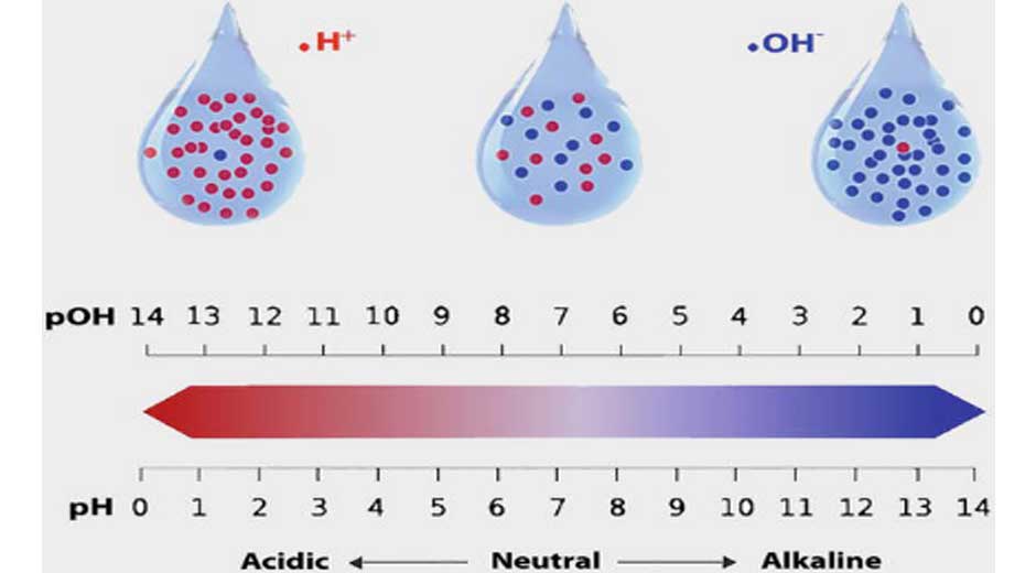 Why-Is-It-Important-to-Test-Water-Quality